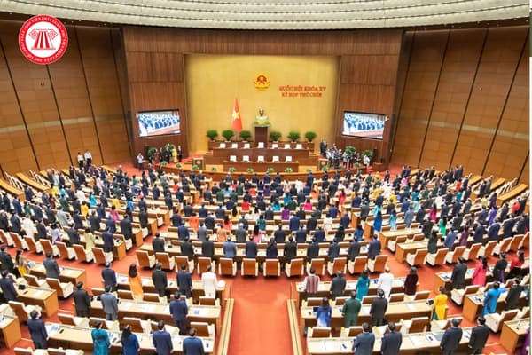 Pháp luật