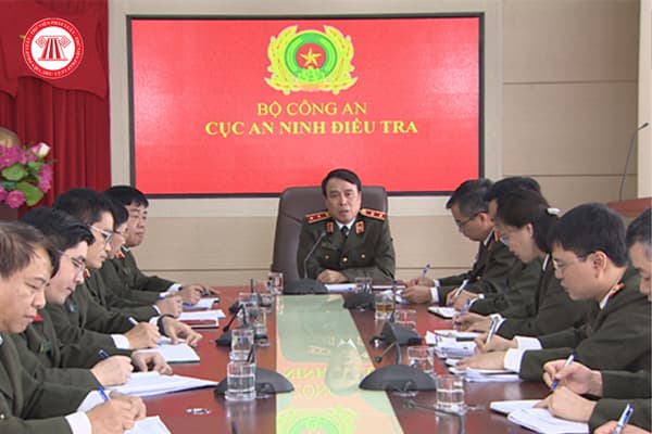 Pháp luật