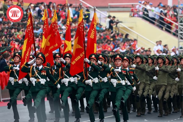 Pháp luật