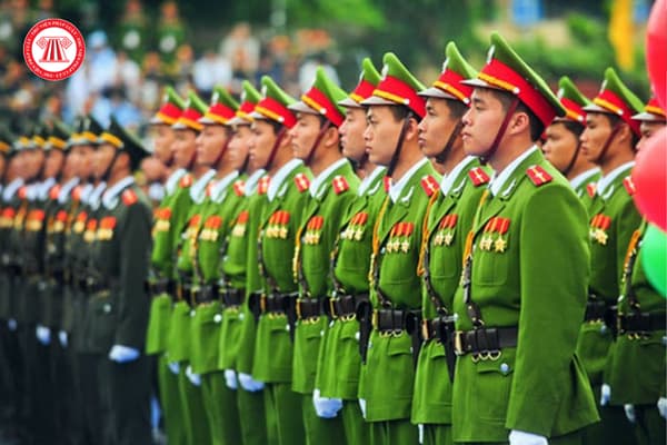 Pháp luật
