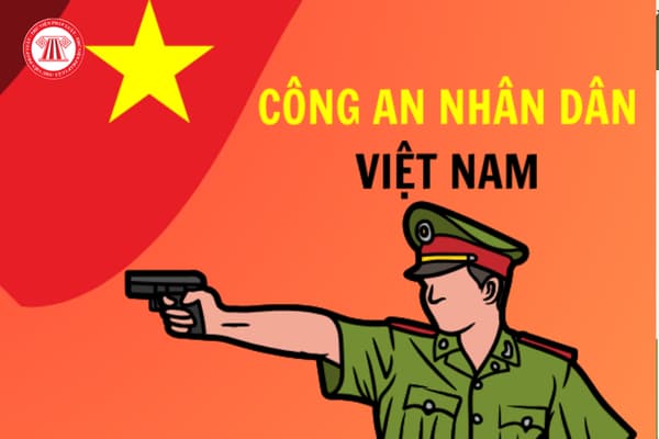 Pháp luật