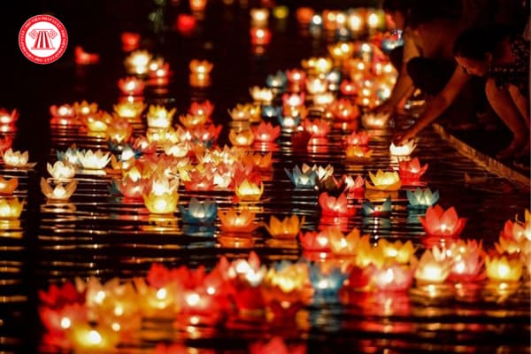 Pháp luật