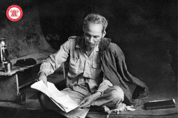 Pháp luật
