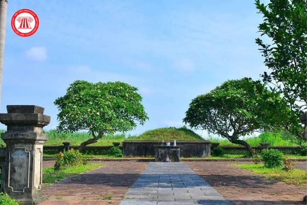 Pháp luật