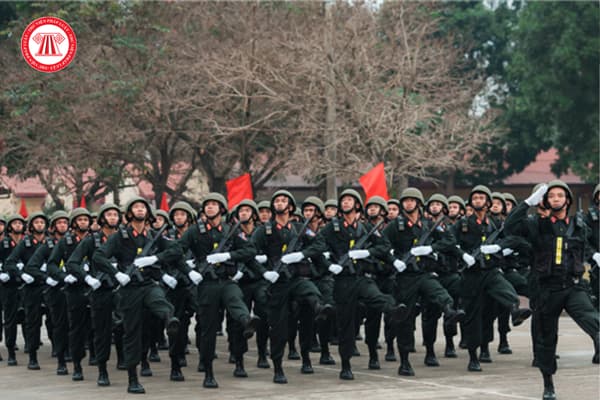 Pháp luật