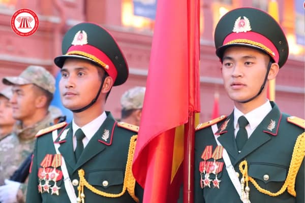 Pháp luật