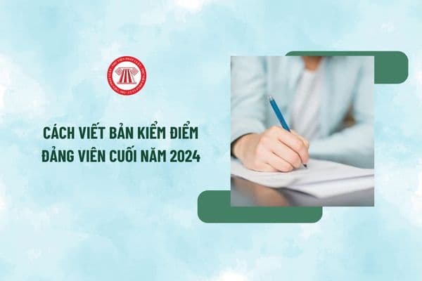 Cách viết bản kiểm điểm đảng viên cuối năm 2024 mẫu 2A và 2B đối với cán bộ, công chức, viên chức mới nhất?