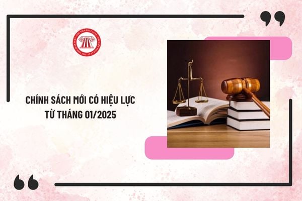 Chính sách mới có hiệu lực từ tháng 01/2025 đáng chú ý? 10 Luật mới có hiệu lực từ 01/01/2025?