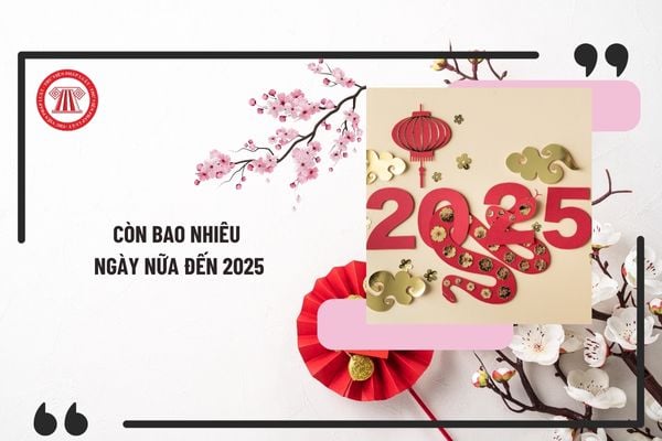 Còn bao nhiêu ngày nữa đến 2025? Năm 2025 có nhuận không? Người lao động được nghỉ ngày lễ, tết nào năm 2025?