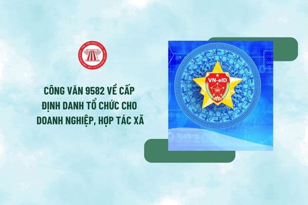 Công văn 9582 về cấp định danh tổ chức cho doanh nghiệp, hợp tác xã như thế nào? Xem toàn văn Công văn 9582 ở đâu?