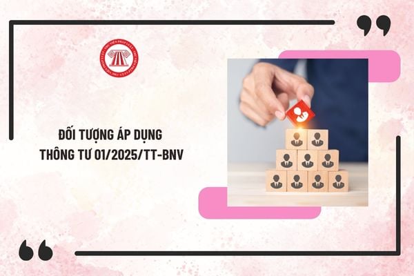 Đối tượng áp dụng Thông tư 01/2025/TT-BNV? Cán bộ, công chức, viên chức nào được áp dụng Thông tư 01 về chính sách chế độ khi sắp xếp bộ máy?