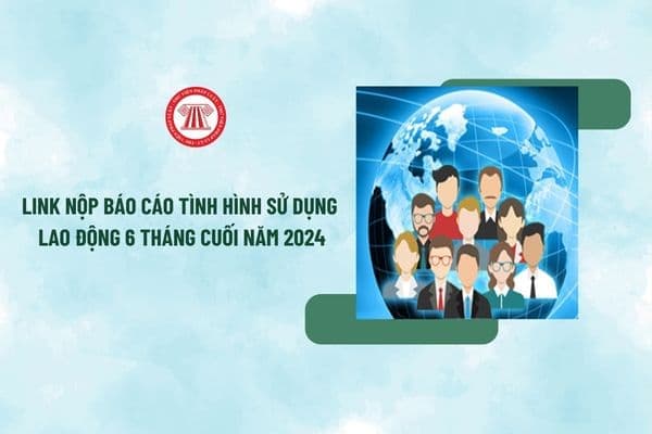 Link nộp báo cáo tình hình sử dụng lao động 6 tháng cuối năm 2024? Cách nộp báo cáo tình hình sử dụng lao động năm 2024?