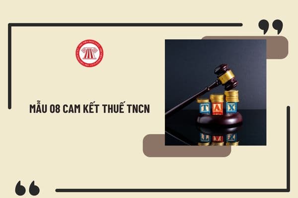 Mẫu 08 cam kết thuế TNCN mới nhất 2024 dùng để làm gì? Tải về mẫu 08/CK-TNCN mới nhất 2024 ở đâu?