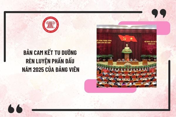 Mẫu Bản cam kết tu dưỡng rèn luyện phấn đấu năm 2025 của Đảng viên? Cách viết Bản cam kết tu dưỡng rèn luyện phấn đấu chi tiết?