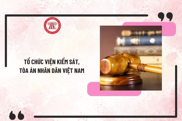 Hệ thống tổ chức Viện kiểm sát, Tòa án nhân dân Việt Nam hiện nay? Cơ cấu tổ chức như thế nào?