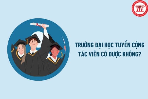 Trường đại học tuyển cộng tác viên có được không? Hợp đồng cộng tác viên trong trường đại học có đóng BHXH bắt buộc không?