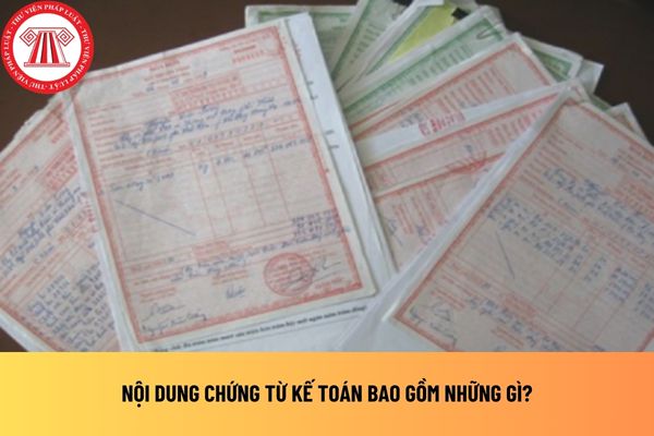 Pháp luật