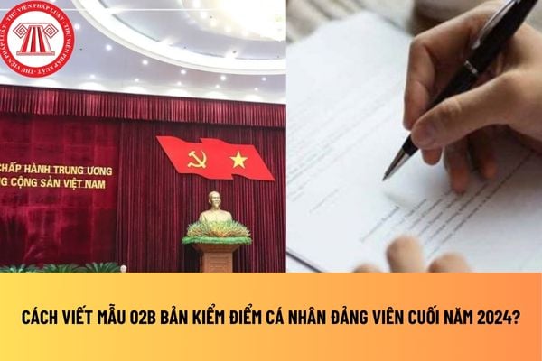 Cách viết mẫu 02B bản kiểm điểm cá nhân Đảng viên cuối năm 2024?