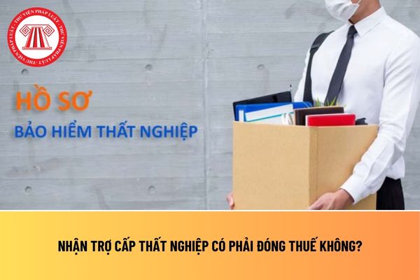 Pháp luật