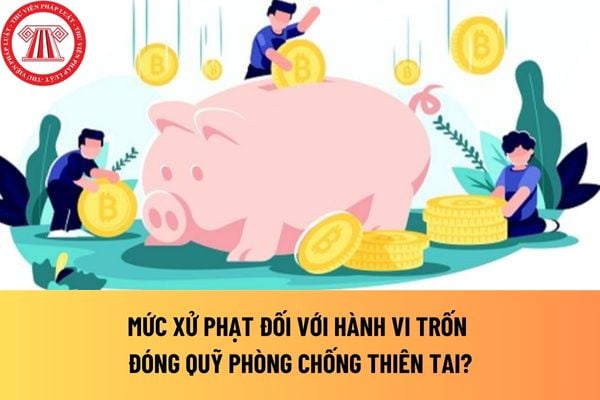 Pháp luật