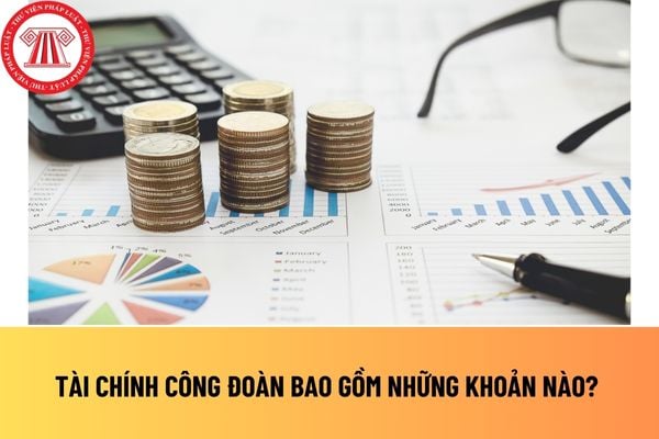 Pháp luật