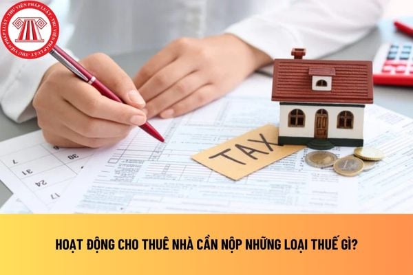 Pháp luật
