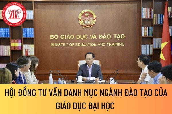 hội đồng