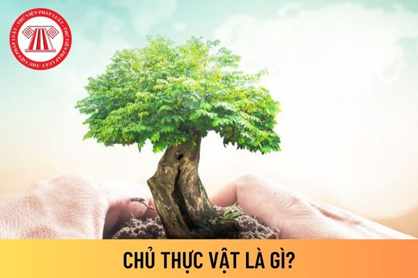 thực vật 2