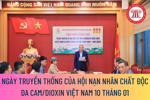 Hội Nạn nhân chất độc da cam/dioxin Việt Nam