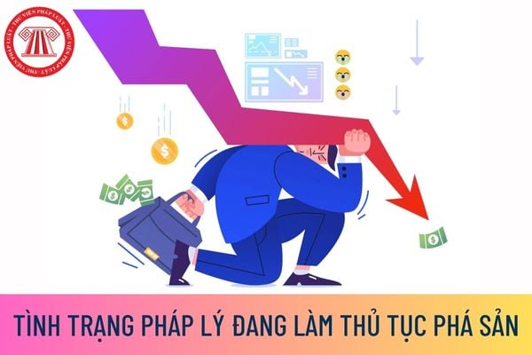 tình trạng pháp lý Đang làm thủ tục phá sản