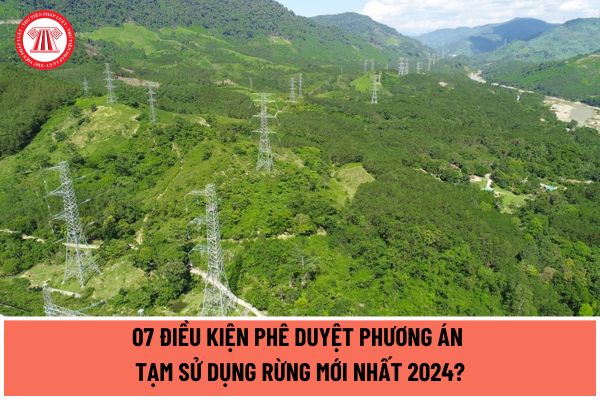 07 điều kiện phê duyệt Phương án tạm sử dụng rừng mới nhất 2024 theo quy định tại Nghị định 27/2024/NĐ-CP như thế nào?