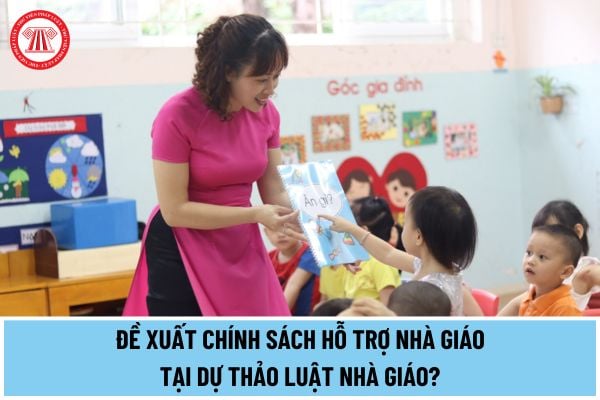 Đề xuất chính sách hỗ trợ nhà giáo tại dự thảo Luật Nhà giáo? Hỗ trợ nhà giáo bao gồm những chính sách nào?