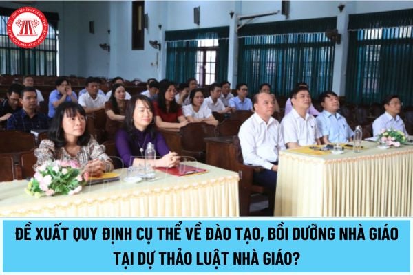 Đề xuất quy định cụ thể về đào tạo, bồi dưỡng nhà giáo tại dự thảo Luật Nhà giáo? Bồi dưỡng nhà giáo gồm những bồi dưỡng nào?