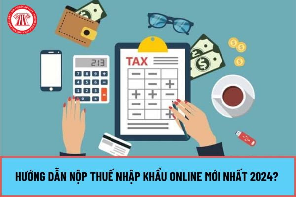 Hướng dẫn nộp thuế nhập khẩu online mới nhất 2024? Thời hạn nộp thuế thuế xuất khẩu, thuế nhập khẩu ra sao?