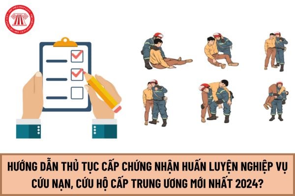 Hướng dẫn thủ tục Cấp chứng nhận huấn luyện nghiệp vụ cứu nạn, cứu hộ cấp trung ương mới nhất 2024?