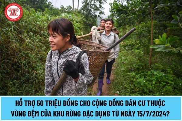 Hỗ trợ 50 triệu đồng cho cộng đồng dân cư thuộc vùng đệm của khu rừng đặc dụng từ ngày 15/7/2024? Nội dung hỗ trợ ra sao?