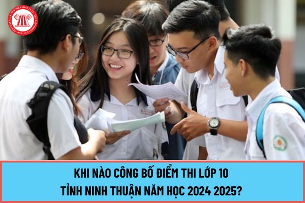 Khi nào công bố điểm thi lớp 10 tỉnh Ninh Thuận năm học 2024 2025? Tra cứu điểm thi lớp 10 Ninh Thuận ở đâu?