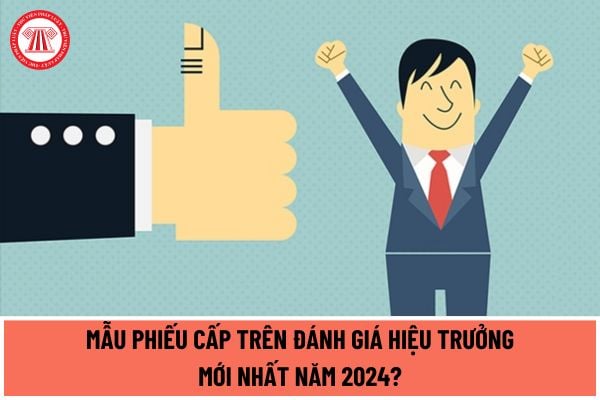 Mẫu Phiếu Cấp trên đánh giá Hiệu trưởng mới nhất năm 2024? Tiêu chuẩn, tiêu chí Cấp trên đánh giá Hiệu trường ra sao?