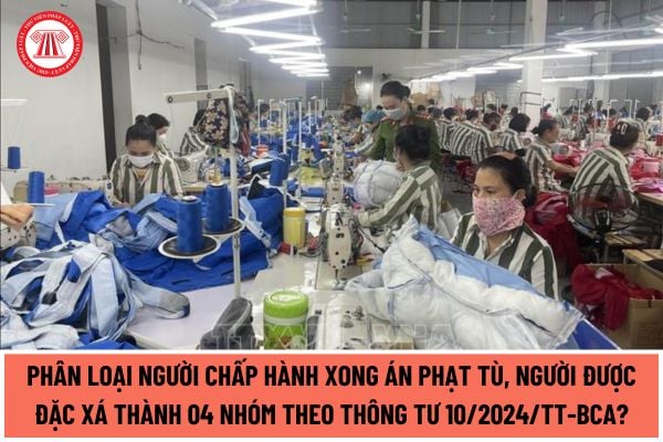 Phân loại người chấp hành xong án phạt tù, người được đặc xá thành 04 nhóm theo Thông tư 10/2024/TT-BCA?