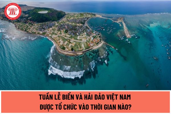 Tuần lễ Biển và Hải đảo Việt Nam được tổ chức vào thời gian nào? Chủ đề trọng tâm của Tuần lễ Biển và Hải đảo Việt Nam năm 2024 là gì?