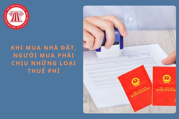 Pháp luật