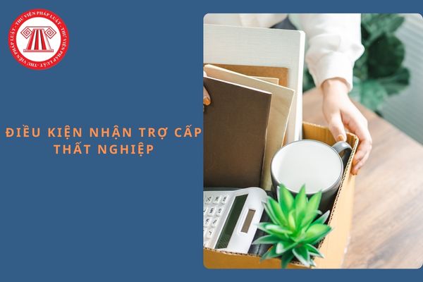 Pháp luật