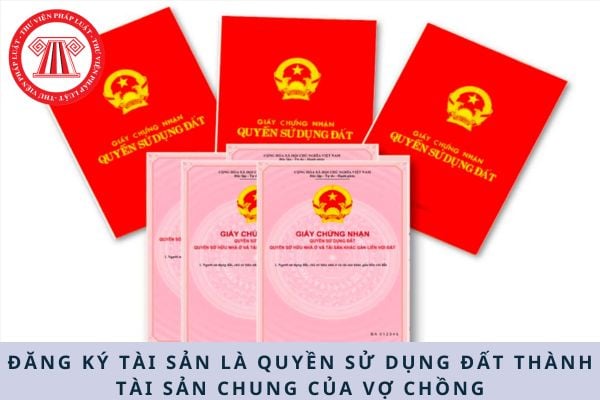 Pháp luật