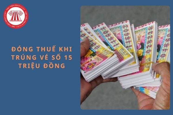 Pháp luật