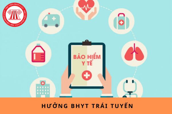 Pháp luật