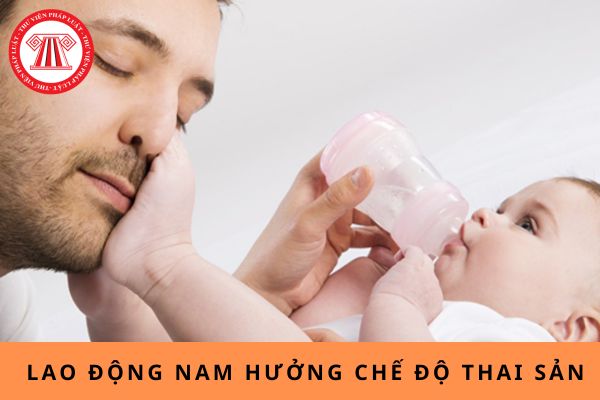 Pháp luật