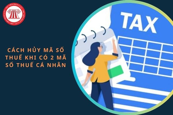 Cách hủy mã số thuế cá nhân khi có đồng thời 2 mã số thuế?