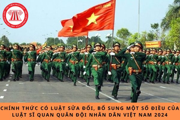 Pháp luật