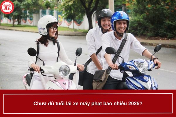 Pháp luật