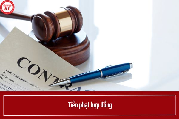 Pháp luật